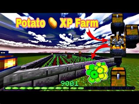 Potato Xp Farm In Minecraft Bedrock Edition Minecraft Youtube