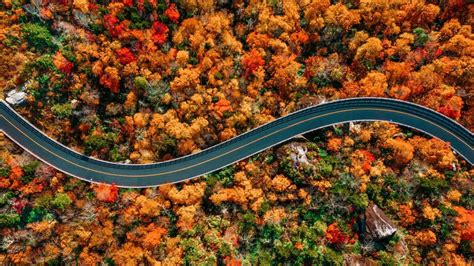 beautiful destinations  fall foliage     put