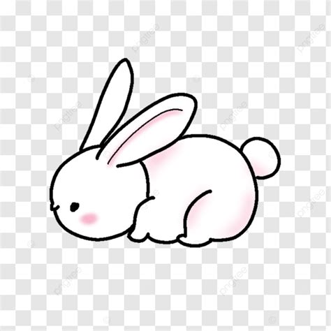 Rabbit Side View, Rabbit, Animal, Bunny PNG Transparent Clipart Image and PSD File for Free Download