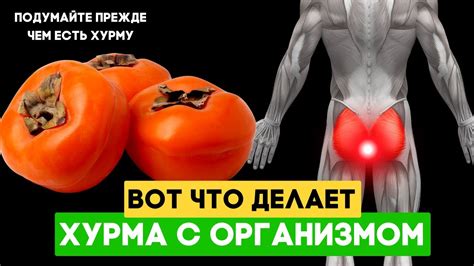 Кому не стоит есть ХУРМУ, Даже одна ХУРМА вызывает НЕОБРАТИМЫЕ ПРОЦЕССЫ ...