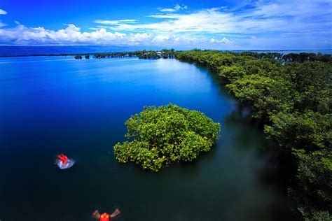 🔥 Tanguar Haor, Sunamganj, Bangladesh 🔥 : r/NatureIsFuckingLit