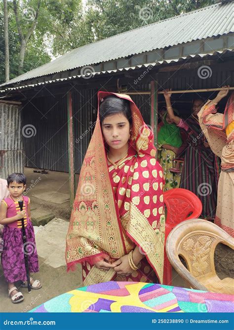 Cow At Bangladeshi Village Road Royalty-Free Stock Photography