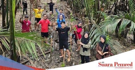 Tanam Bibit Mangrove Di Sungai Kupah Astra Motor Kalbar Jaga