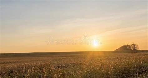 Meadow Time Lapse At The Autumn Sunrise Time Wild Nature And Rural