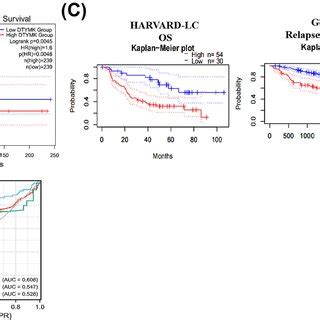 Expression Profile Of DTYMK In Single Cell Analysis And Its Link To The