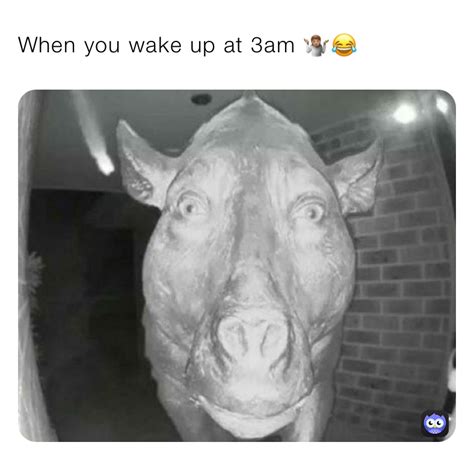 When You Wake Up At 3am 🤷🏽😂 Zay1606606876 Memes