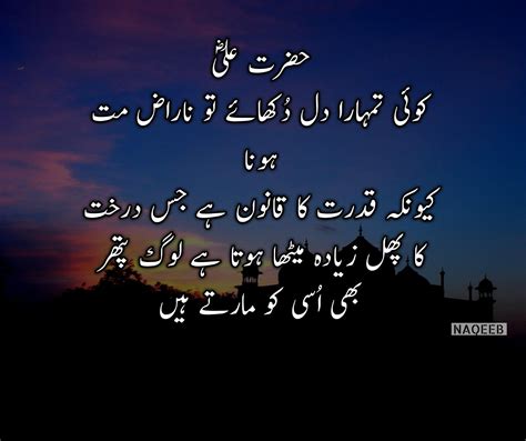 Hazrat Ali Quotes In Urdu