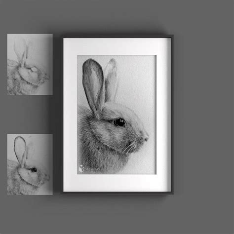 Tierportraits Zeichnen Lassen Bleistift Pastell Sketchus Idee Farbe