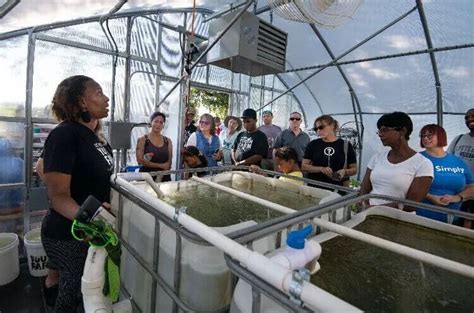 Leadership St Pete Selects The St Pete Youth Farm For Its Class