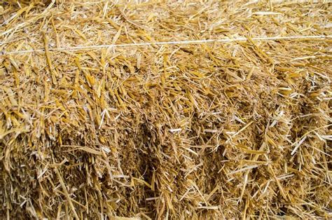 close    straw bale stock photo  srphotos