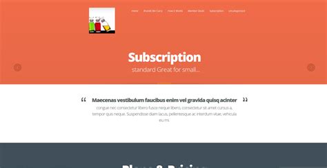 Subscription Website - Web Design & SEO Expert