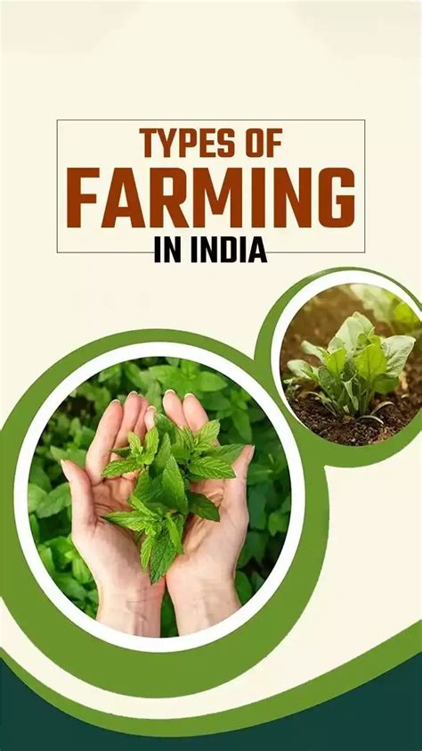 Top 6 Types Of Farming In India