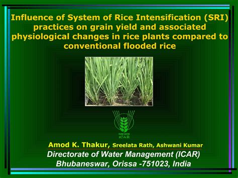 1043 Influence Of System Of Rice Intensification SRI Practices On