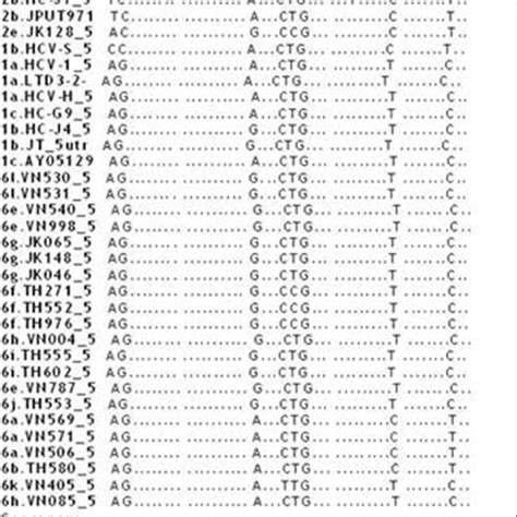 Multiple Alignments Of HCV REFSEQ Sequences Against Our Sequence HCV