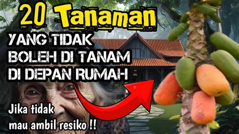 JANGAN AMBIL RESIKO 20 Tanaman Yang Tidak Boleh Ditanam Didepan