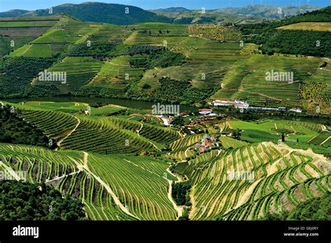 Douro River Valley Scenery Hi Res Stock Photography And Images Alamy