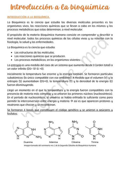 Introducción a la Bioquímica Heyitsme Medicine uDocz