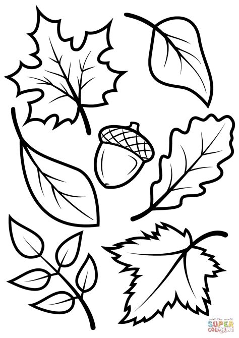 Thanksgiving Leaves Coloring Pages at GetColorings.com | Free printable colorings pages to print ...