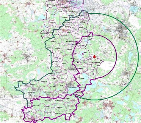 Stadt Großräschen Afrikanische Schweinepest beim Schwarzwild im