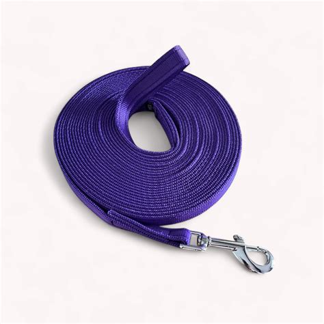 Dog Training Lead, Extra Long Long Line Lead for Recall Training