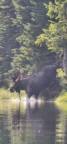 Best Hikes And Trails In Crystal Lake Wilderness Study Area Alltrails