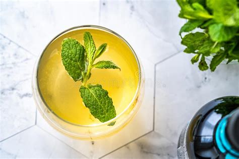 Homemade Traditional Healthy Fermented Raw Kombucha Tea With Mint