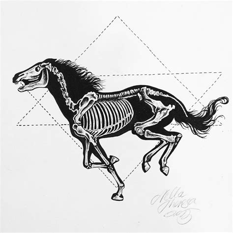 Skeleton horse by Nellau666 on DeviantArt