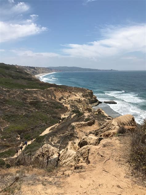 Torrey Pines Trails | Torrey pines, Torrey, Outdoor