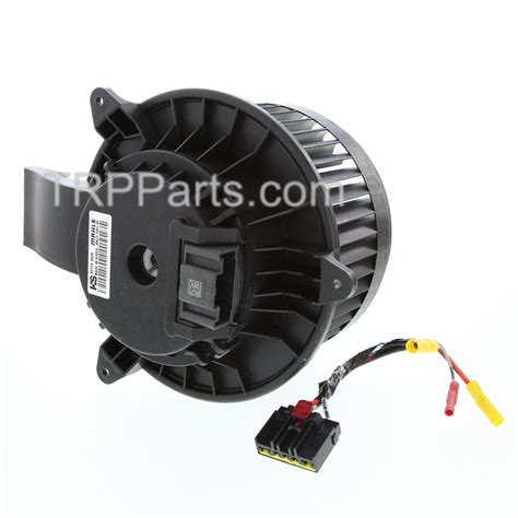 Motor Assy Blower