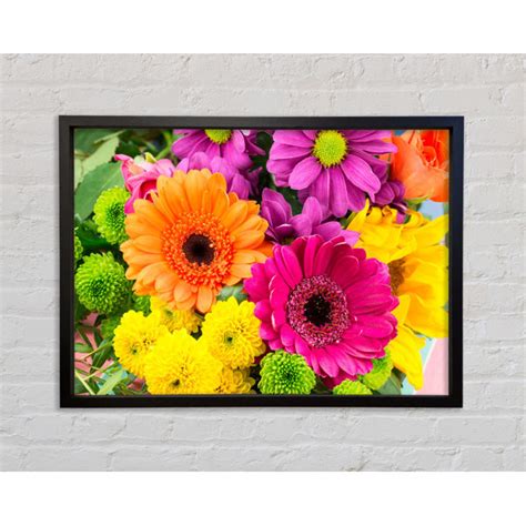 Ebern Designs Gerbera Flower Mix Einzelner Bilderrahmen Kunstdrucke