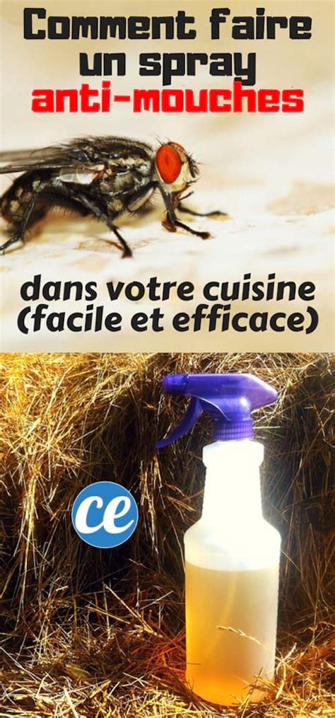 Comment Fabriquer Un Spray Anti Mouches Dans Votre Cuisine Facile Et