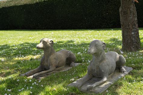 Pair of Garden Dog Statues - DGA by Tina Bird