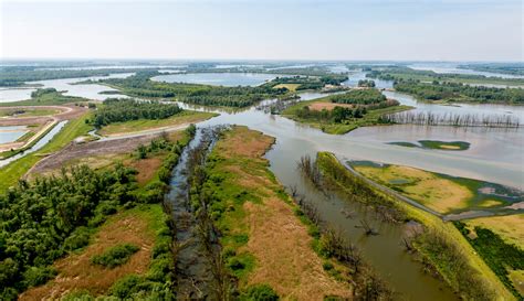 Nationalpark De Biesbosch Holland