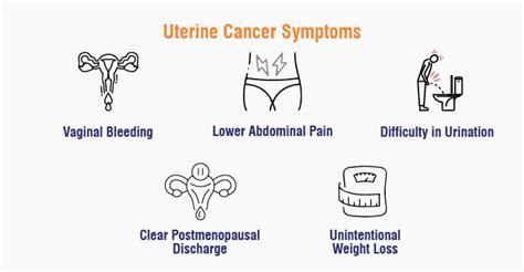 Uterine Cancer Symptoms Causes And Treatments