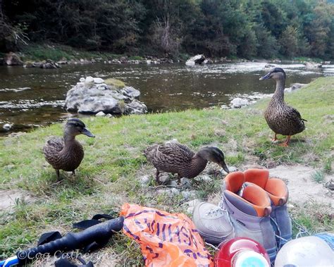 Organiser Un Bivouac Responsable En Montagne Les Voyages De Kat