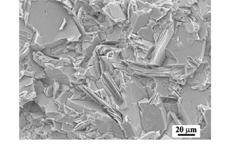 Scanning Electron Micrograph Of The Fracture Surface Of The Joint