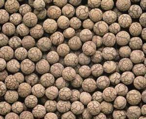 Plagron Euro Pebbles Hidrogoly K Termeszt K Zegek Grow Shop