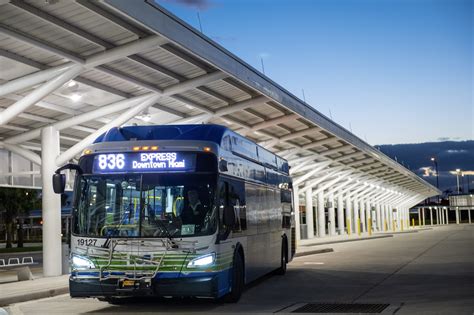 How To Get Around Miami Using Public Transportation