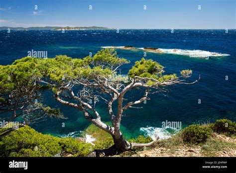 Hinking On The Sentier Du Littoral On The Presqu Le De Giens France