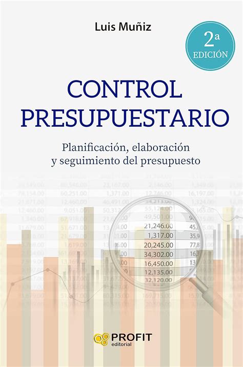 Control Presupuestario Planificaci N Elaboraci N Implantaci N Y