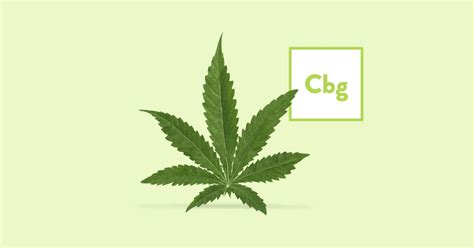 CBG Products - Find Your Center with Hemp