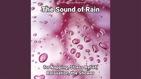 The Sound Of Rain For Napping And Stress Relief Pt 46 Youtube