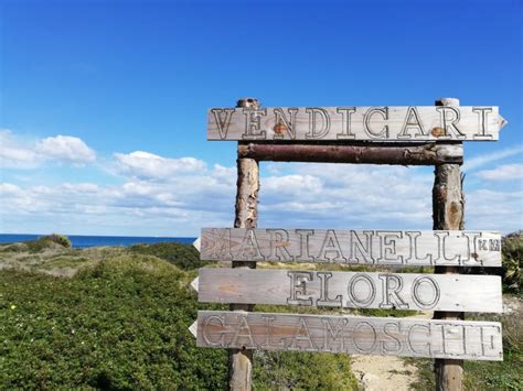 From Siracusa Vendicari Nature Reserve Guided Tour GetYourGuide