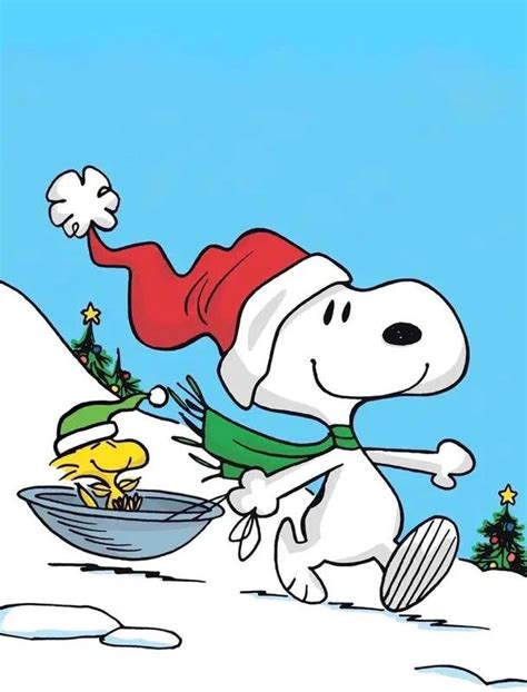 Pin By Monita Molina On Snoopy Snoopy Pictures Snoopy Wallpaper