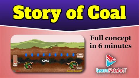 Coal Formation Animation