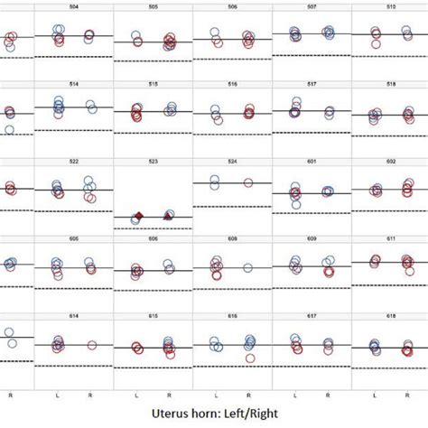 Body Weight Sex And Uterine Position For Fetuses From Litters On