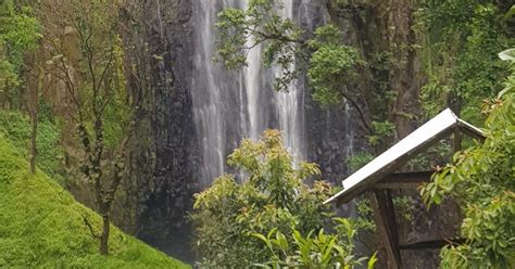 Tour delle cascate del caffè e delle sorgenti termali di Materuni