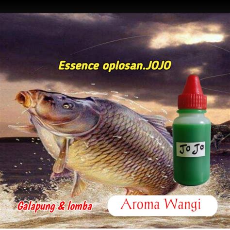 Jual Essen Ikan Mas Ikan Rame Lomba Harian Galapung Kilogebrus ESSEN