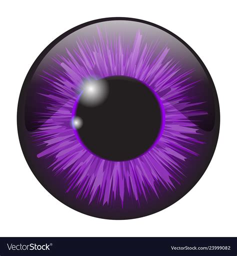 Purple Iris Eye Realistic Set Design Isolated Vector Image