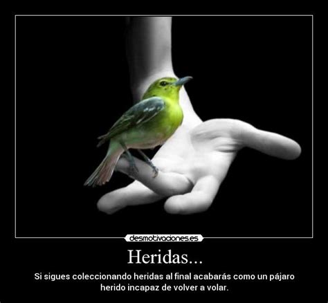 Heridas Desmotivaciones